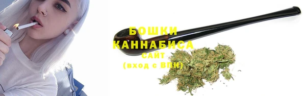 ГАЛЛЮЦИНОГЕННЫЕ ГРИБЫ Няндома