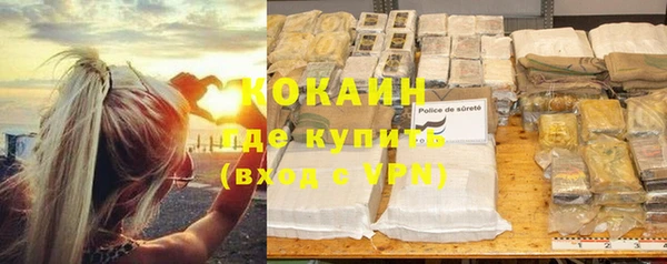 ГАЛЛЮЦИНОГЕННЫЕ ГРИБЫ Няндома