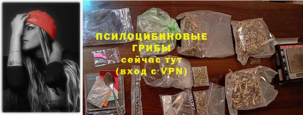 ГАЛЛЮЦИНОГЕННЫЕ ГРИБЫ Няндома