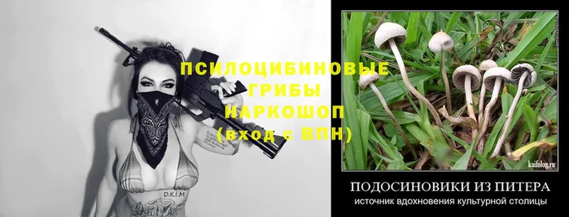 Галлюциногенные грибы Psilocybe  хочу наркоту  kraken зеркало  Спасск-Рязанский 